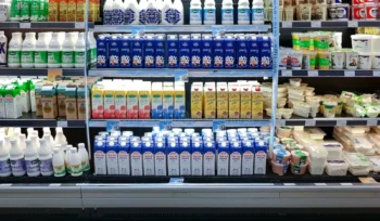 Global Demand Mapping & Go-To-Market Strategy for Liquid Yogurt Expansion
